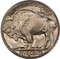 Buffalo Nickel rev